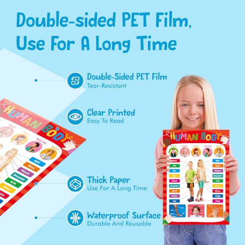 Image of Educational Posters for Kids, 17 PCS All-in-One Set Learning Posters