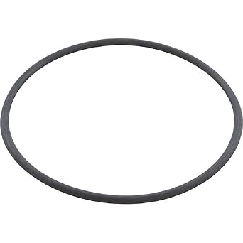 The Speck Pumps 2901141201 V Body Lid O-Ring
