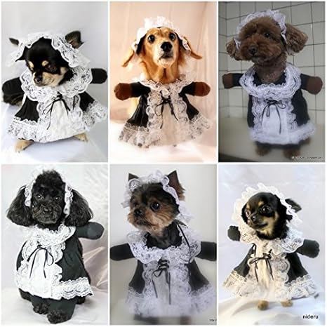 Amazon Co Jp 型紙 小型犬の2足歩行風コスプレ撮影用前掛けコスチューム13種類 作り方説明付き チワワみるちゃんサイズ首下19cm ペット用品