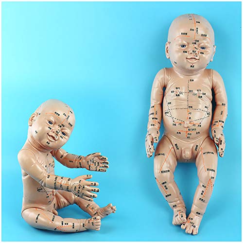 Modèle d'Acupuncture bébé humain - modèle poupée massage pédiatrique - médecine chinoise Modèle universel Acupoint pédiatrique Massage Simulation - Pratique pédiatrique Massage bébé Acupuncture,A