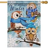 Covido Home Decorative Hello Winter Owls Family House Flag, Animals Yard Outside Decorations, Christmas Snow Farmhouse Outdoor Large Decor Double Sided 28x40