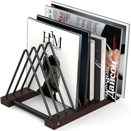 Pashion Vinyl Record Storage Rack,Detachable Desktop Stand for Album Collections,Durable