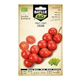 Semillas Batlle Tomate de Colgar Sel. DOMINGO - ECO