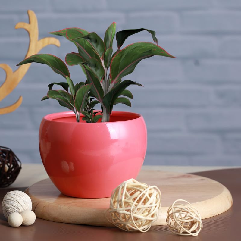 Image of Decorative Multicolour Planters for Indoor Plants Metal Planters for Living Room, Bedroom, Balcony, Home and Office| Apple Shaped Rust-Free Powder Coated Planter |Set of 3