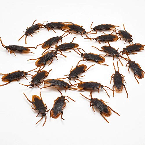 RVM Toys Set of 25 Fake Cockroach Practical Jokes and Prank Trick Toys Multi Color (B086Q4CZCD) Amazon Price History, Amazon Price Tracker