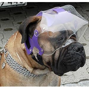 Short Snout Dog Eyes  Face Protector Large 7399 Lbs Head Measurement 8394 Inches  Cucciolini Doodles Short snout dog eyes  face protector large 73 99 lbs head measurement 8 3 9 4 inches   cucciolini doodles