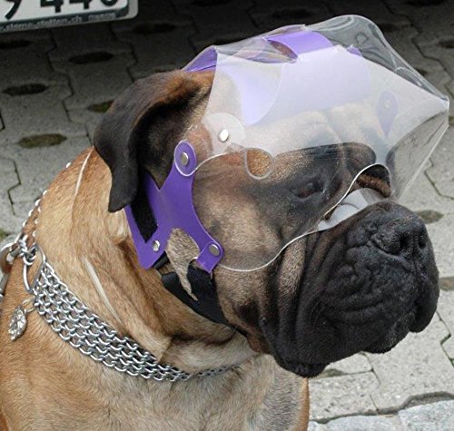 Short Snout Dog Eyes  Face Protector Large 7399 Lbs Head Measurement 8394 Inches  Cucciolini Doodles Short snout dog eyes  face protector large 73 99 lbs head measurement 8 3 9 4 inches   cucciolini doodles