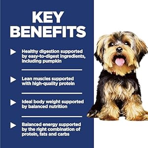 Hill's Science Diet Small & Mini, Adult 1-6, Small & Mini Breeds Premium Nutrition, Dry Dog Food, Chicken & Brown Rice, 15.5 lb Bag Hills Science Diet Small Mini Adult 1 6 Small Mini Breeds Premium Nutrition Dry Dog Food Chicken Brown Rice 155 lb Bag