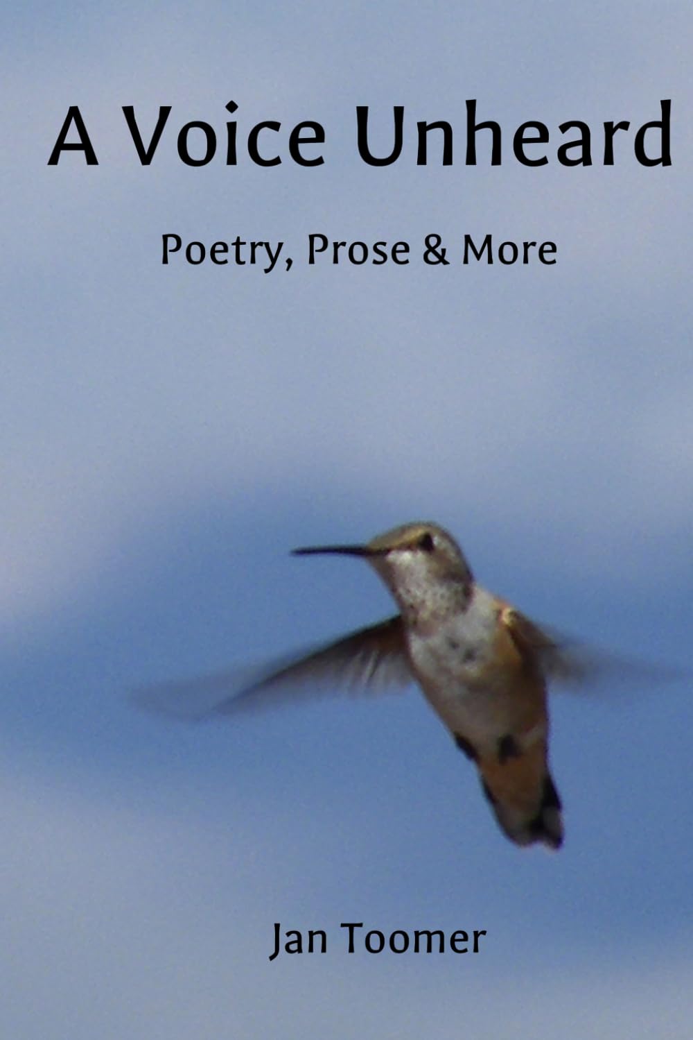 A Voice Unheard: Poetry, Prose & More
