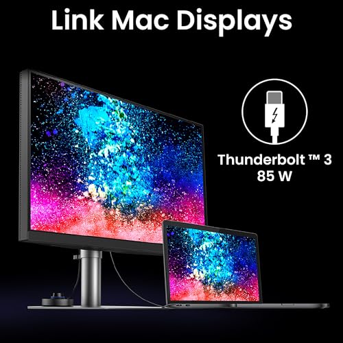 BenQ PD3225U 32 Inch 4K IPS Black UHD Thunderbolt Monitor for MacBook, AQCOLOR, 98% P3, 100% sRGB & Rec.709, DeltaE ≤2, Uniformity, Factory Calibration, USB-C 85W, USB Hub, Daisy Chain, KVM Switch