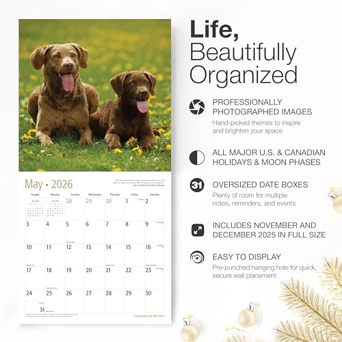 Image of RED EMBER Chesapeake Bay Retrievers Chessies 2026 Wall Calendar 12 Month | 12 inch x 24 inch Open | Thick & Sturdy Paper | Holiday Gift | Cute Puppy Dog Calendar 2026