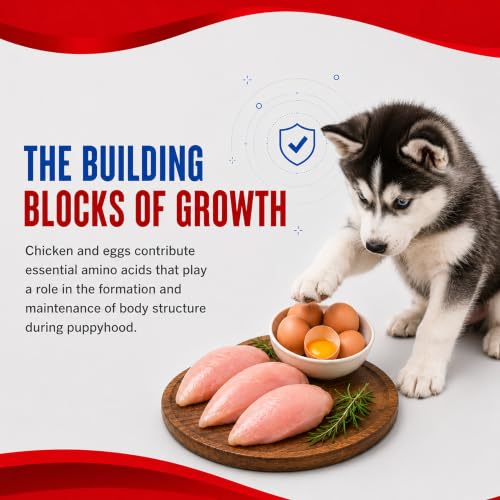 Image of Drools Puppy Dry Dog Food Performance 20kg | Chicken | Complete & Balanced Food | Supports Growth | Highly Digestible