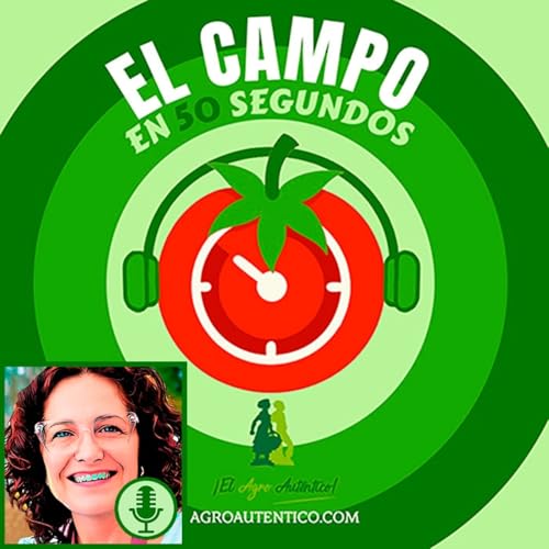 El frío llega tarde