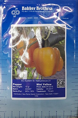 Bakker Brothers Holland, Imported Capsicum Mini Bellpepper Yellow 10gm x 7 Seeds Packets (Original Packing) Sold by Seedscare India