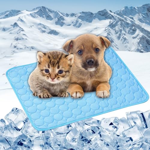 Tapis de refroidissement pour chiens LONGCAO contre les coups de chaleur en été - 2