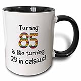 3dRose 85 is Like Turning 29 in Celsius-Humorous 85Th Birthday Gift Two Tone Mug, 11 oz, Black