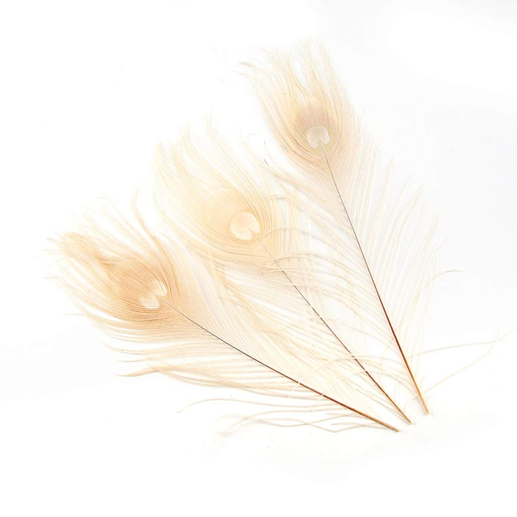 Shekyeon 10-12inch Dyeing Peacock Feathers Bleached Plume Wedding Table Centerpiece Pack of 10 (Off White)