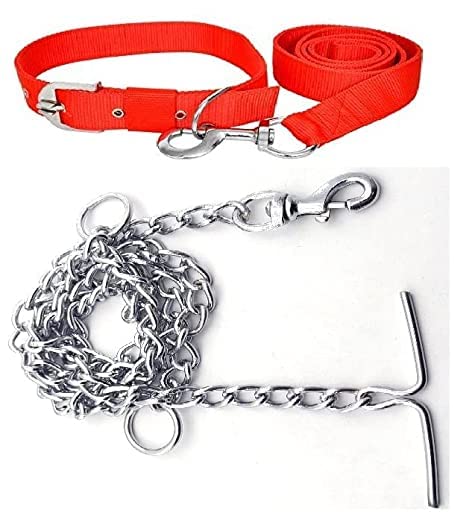 See full amazon price history chart for Woofy Combo of Collar Leash and Chain Dog Belt with Silver Color Dog Chain Dog Collar & Chain Medium Size Dog Collar Width 20 MM (Red) Woofy Combo of Collar Leash and Chain Dog Belt with Silver Color Dog Chain Dog Collar & Chain Medium Size Dog Collar Width 20 MM (Red) (B09ZT2GPG6) Amazon Price History, Amazon Price Tracker