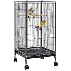 Yaheetech 40 Inch Wrought Iron Bird Cage Open-Top Parrot Cage with Rolling Stand for Parakeets Cockatiels Budgies Parrotlets Lovebirds Canary Small-Sized Birds Parrots