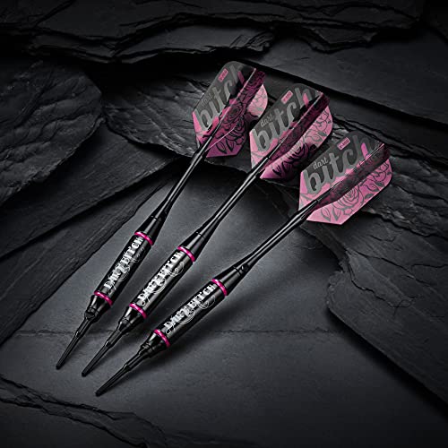 Viper 20-0317-16 Vanity Soft Tip Darts With Storage/Travel Case: Dart Bitch thumb #5