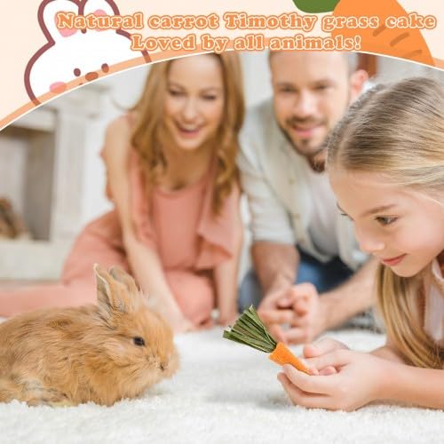 Crocchette da masticare per conigli - Biscotti all'erba alfalfa e carota per piccoli animali domestici - Snack di fieno di fleolo per conigli, porcellini d'India e criceti - Giocattoli da mas
