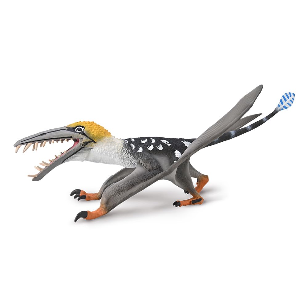 CollectA Dearc sgiathanach with Moveable Jaw (1:3 Scale) - Realistic Hand Finished Dinosaur Toys, Prehistoric Figures & Models, Animal Gifts For Toddlers & Kids, Age 3 Years +
