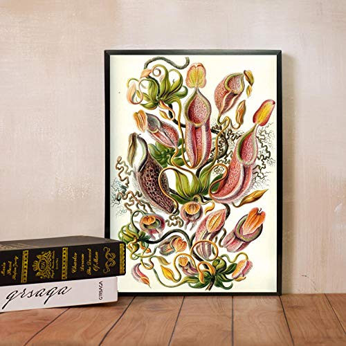 Ling88 Wall Art Carnivorous Plant Poster Nepenthaceae Tropical Pitcher Plants Monkey Cups Prints Wall Art Painting Canvas Picture Decor Posters And Prints Wall Décor - 50X70Cm