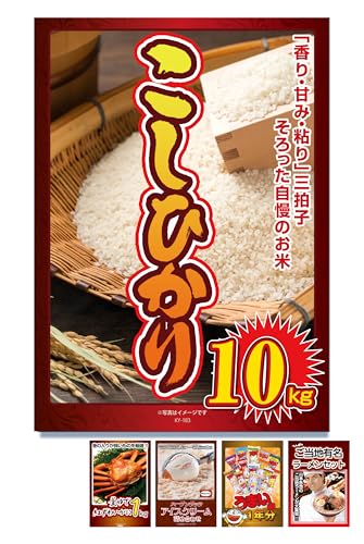 ii 5_ Zbg RVqJ 10kg gYCKj [ ACX ܂_ ژ^ pl YN VN  񎟉 rS St Ry