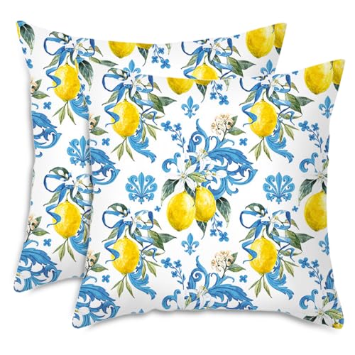 Vylro 2 Pièces Housse de Coussin Décorative Carrée en Forme de Citron,Housse de Coussin 45x45cm,Citrons Moderne Decoration Canapé Coussin,Housse Coussin...