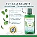 Auromere Ayurvedic Mouthwash - Vegan, Fluoride Free, Alcohol Free, Natural, Non GMO (16 fl oz), 1 Pack
