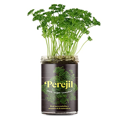 Resetea | Huerto de cocina | Perejil