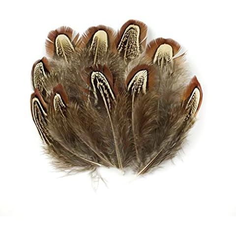 Fletion 50 PCS Beautiful Elegant Fullness Real Natural Pheasant Tail Feathers Plumes Trim Plumage Ringneck Feathers for Home Decor DIY Arts Craft Great Activity Birthday Wedding Party Decoration Cover