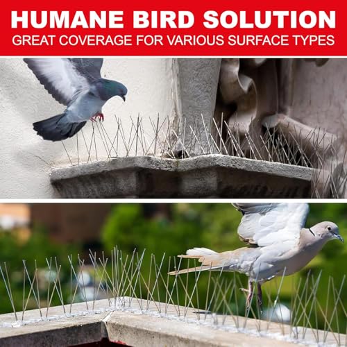 Image of SWAPKART (Pack of 50) Bird and Pigeon Spikes, Pigeon Control Spikes Anti Bird Plastic Spikes for AC Balcony Railing Window Home Protection from Pigeon Dog Monkey Crow Kabootar Transparent