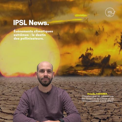 『&Eacute;v&eacute;nements climatiques extr&ecirc;mes : le destin des pollinisateurs [Davide Faranda]』のカバーアート