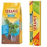 Seramis Ton-Granulat als Pflanzenerden-Ersatz für Palmen, Spezial-Substrat, 7 Liter & Gießanzeiger für alle Topfpflanzen, 2 Stück, Kein Batteriebetrieb, Kunststoff, Höhe: 16,2 cm, Gießanzeiger, Grün