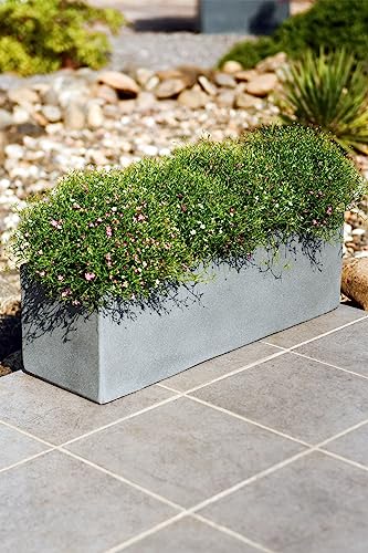 VIVANNO Blumenkasten Balkonkasten Pflanzkasten Beton grau FLOBO - 18x60x18 cm