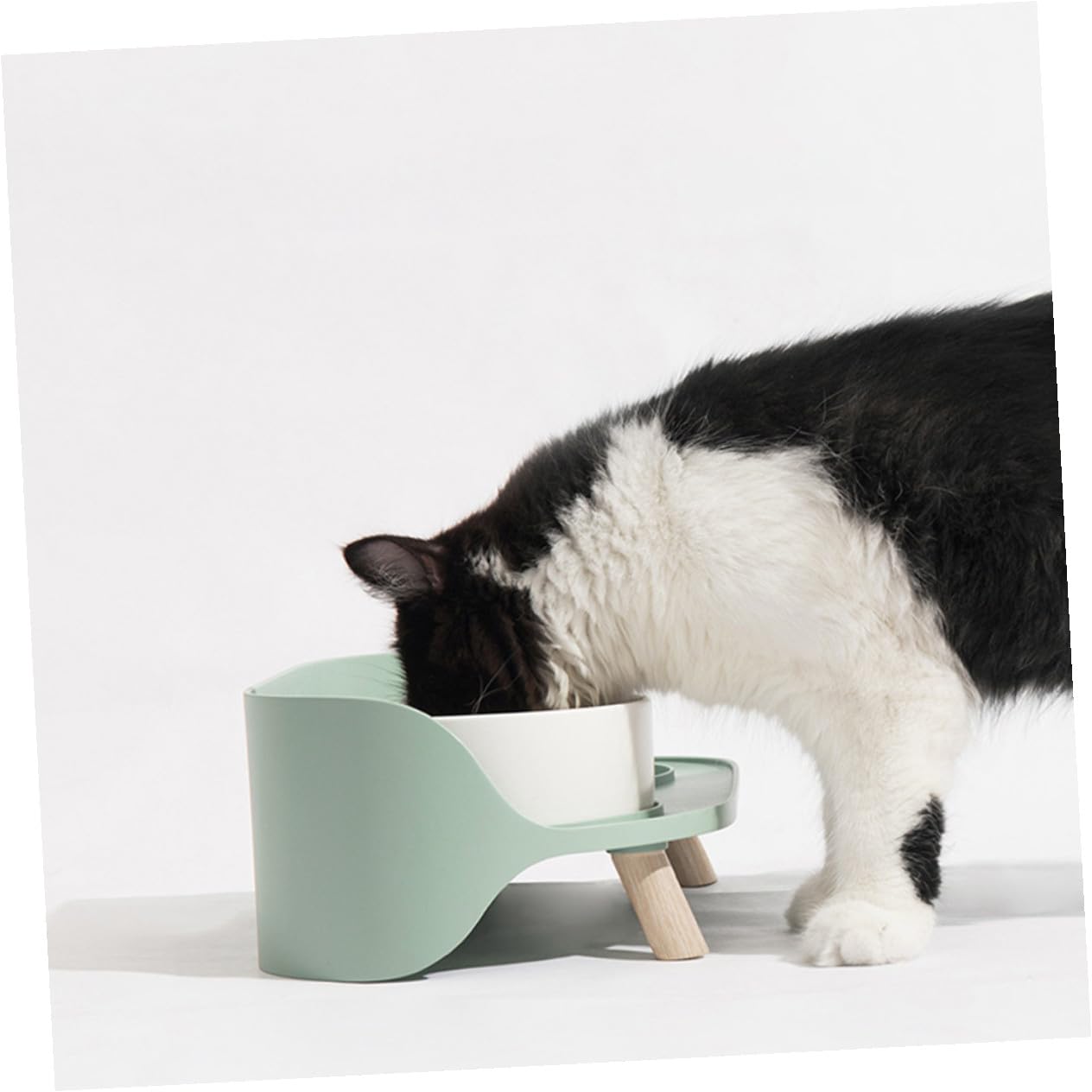 Katzenschälchen aus Keramik Doppelnapf für Katzen Grün Wasserundurchlässig Hitzebeständig für Bequemes Fressen