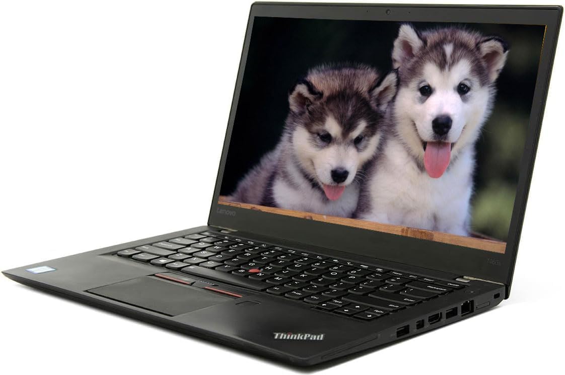 Lenovo T460s ThinkPad Laptop Win 11, 14'' FHD (1920×1080) Display, Intel Core i5-6th Gen, 12GB RAM, 256GB SSD, HDMI, RJ-45 (renewed)