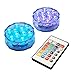 Lumabase Submersible Battery Operated Multi-Function LED Lights with Remote Control - Set of 2