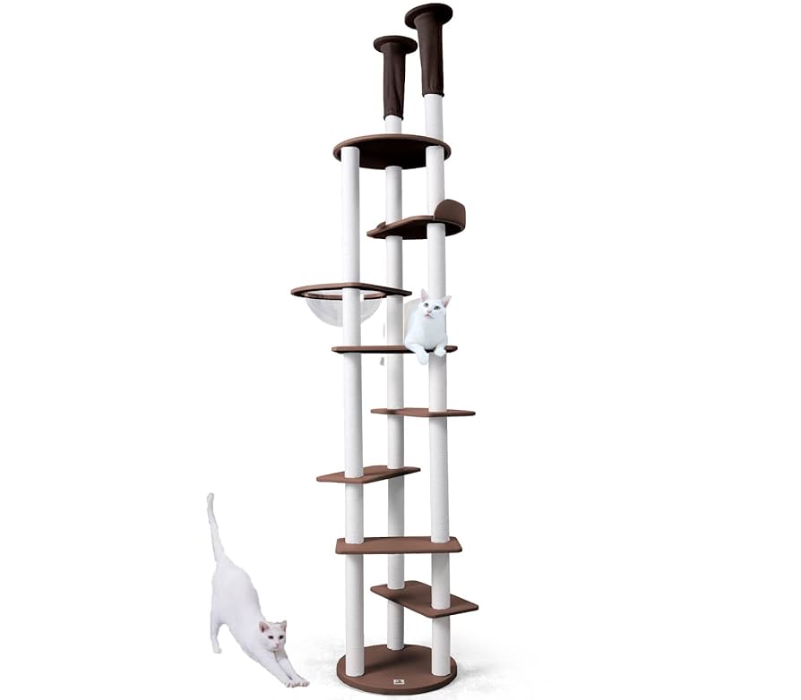 ONEKOSAMA キャットタワー 宇宙船1コ 楽天市場】＼最大2000円OFFクーポン／ ONEKOSAMA キャットタワー