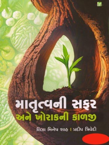 Matrutva Ni Safar Ane Khorak Ni Kalji : An Urban Indian Mother’s Guide to Life after Childbirth (Gujarati Book)