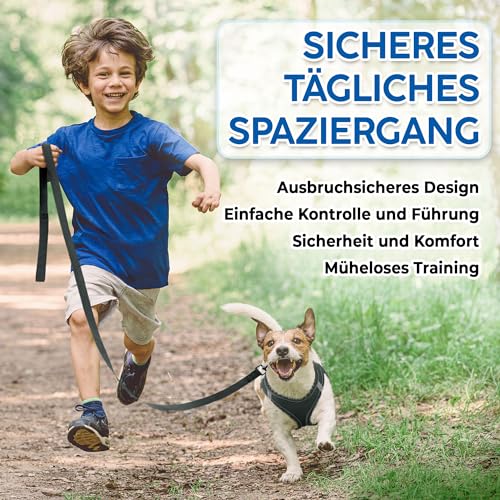 Hundegeschirr + Leine - Klein, Schwarz - Weich gepolstert + Zugfreies Design Haustiergeschirr + Reflektierende Streifen für kleine Hunde - von EcoEarth