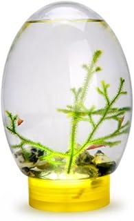 Mini Aquarium Fish Tank Ecosphere Closed Aquatic Ecosystem with LED Light Desktop Aquarium Stable Yellow Base No Need to Feed or Change Water,biosphere Ecosystem Yellow