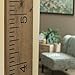 Vinyl Growth Chart | Single Transfer for Easy Application | Kids DIY Height Wall Ruler Kit | Large Measuring Tape Sticker Number Decal Wood Measure Chart Wooden Board Children Decor Growing Baby Room