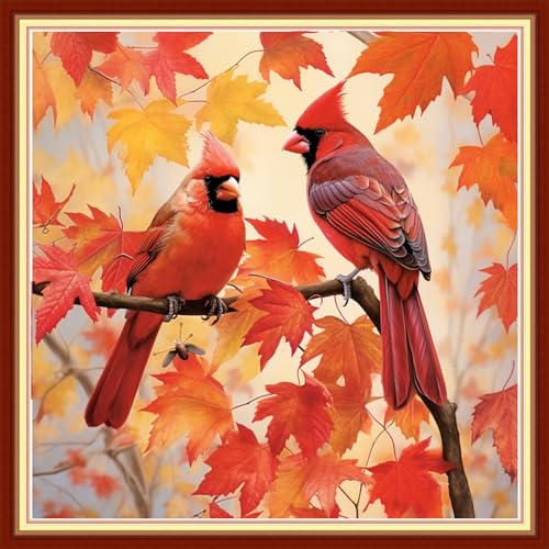 Image of Dimxvean Stamped Cross Stitch Kits,Cross Stitch Kits for Adults Beginners,Embroidery Kits Full Range of Cross Stitch Stamped Kits Needlepoint Kits Cross Stitch Patterns-Bird Red Maple Leaf 18x18 inch