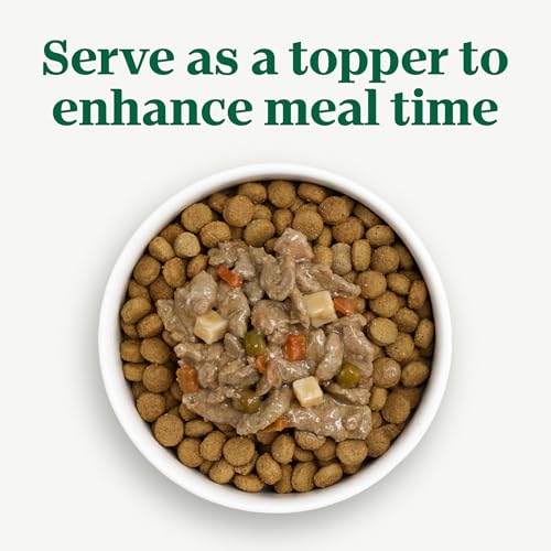Image of Nutro Cuts in Gravy Wet Dog Food, Lamb & Vegetables Stew, 3.5 oz, 24 Count