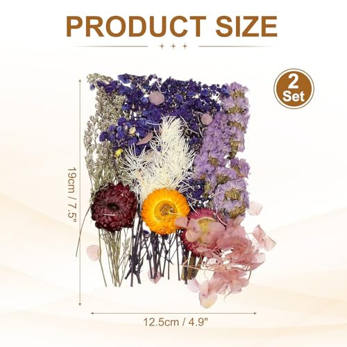 Conjunto de 2 Sets de Flores Secas Naturales miniatura 2