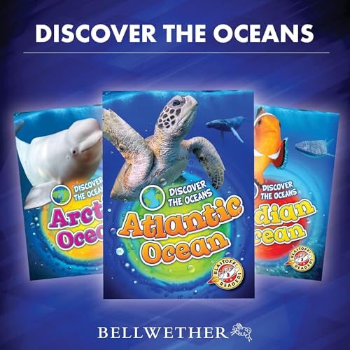 Discover the Oceans by Emily Rose Oachs episode artwork