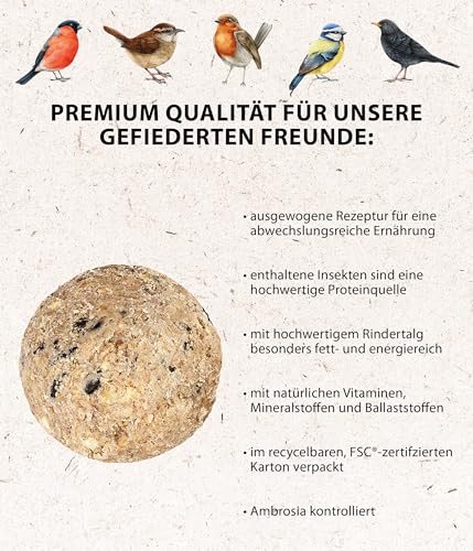 Dehner Natura Premium Meisenknödel mit Netz, Insektenknödel, ganzjähriges Wildvogelfutter proteinreich / energiereich, 30 Stück je 90 g (2.7 kg), Karton aus FSC-zertifizierter Produktion