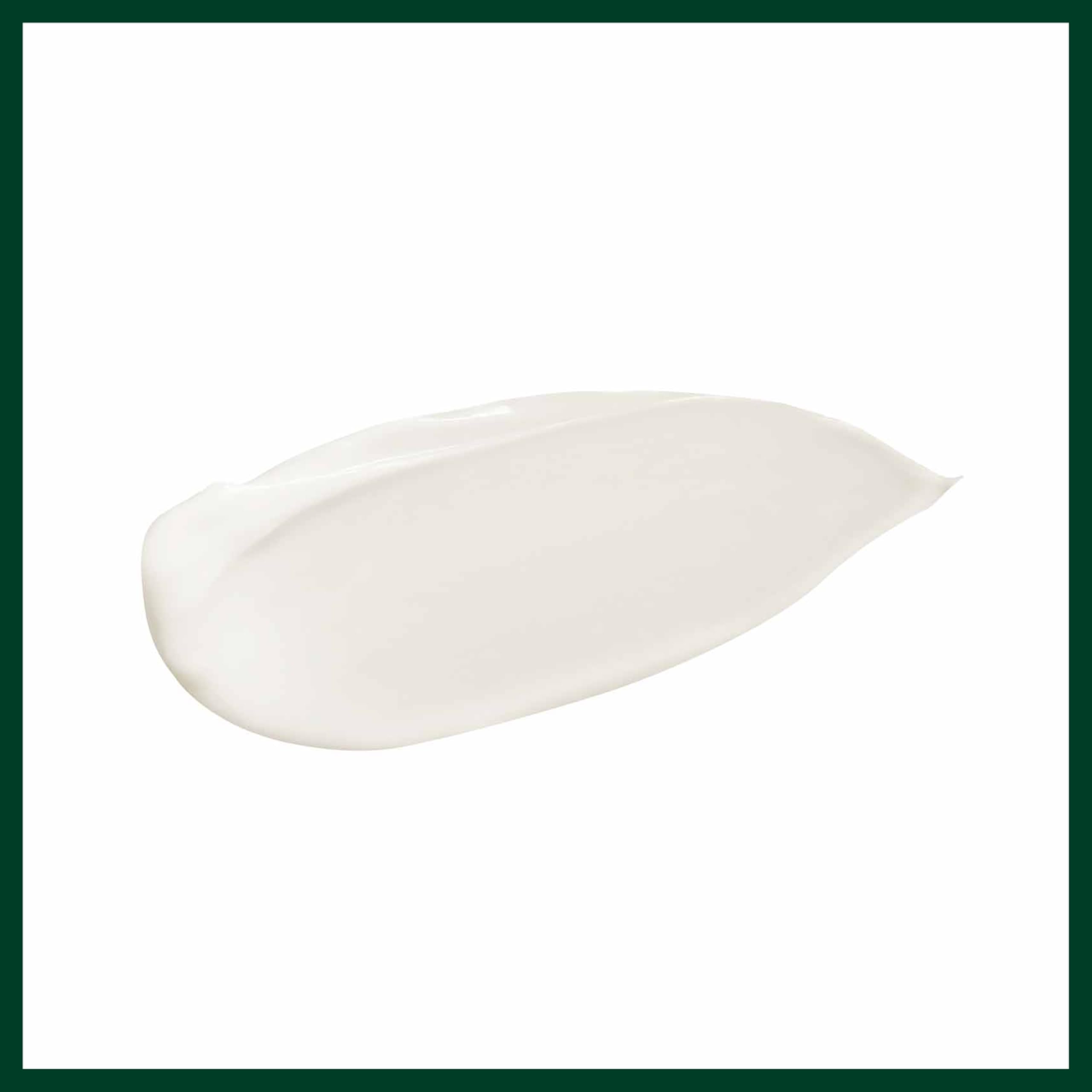 Aveda Botanical Repair Maschera Ristrutturante: Rich | Per Capelli più Forti - Ammorbidisce e Facilita la Districatura dei Capelli Medio-Spessi